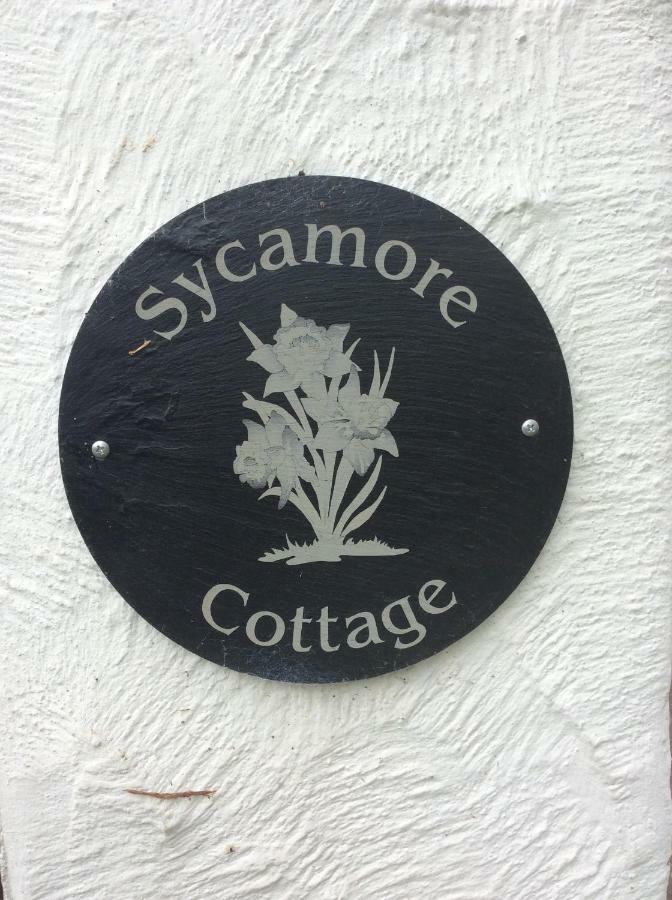 Sycamore Cottage Conwy Extérieur photo